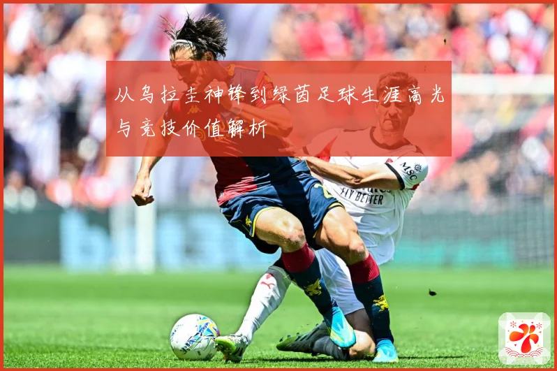 从乌拉圭神锋到绿茵足球生涯高光与竞技价值解析