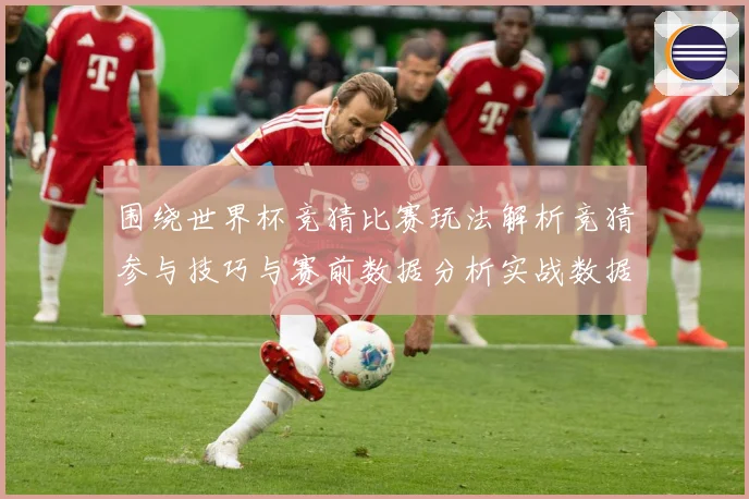 围绕世界杯竞猜比赛玩法解析竞猜参与技巧与赛前数据分析实战数据研判